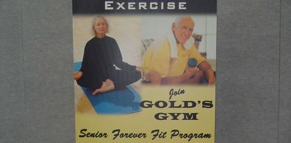 Vinyl Banners Vinyl Banners