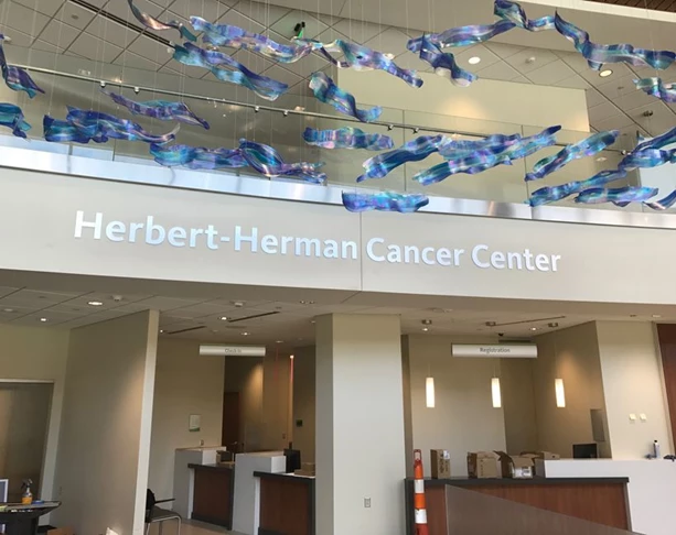 Ceiling Graphics & Displays Ceiling Graphics & Displays